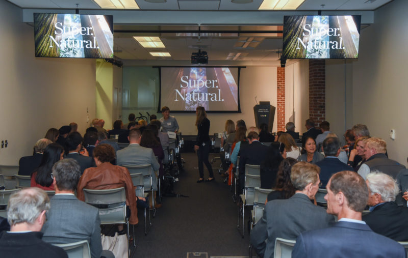 team building subscription box remote team building virtual events Team building in a box